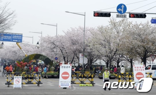 여의도 봄꽃축제 시작 교통통제 확인하세요