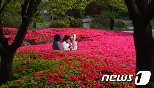봄꽃 미소