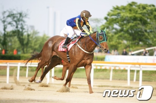 `조이럭키 서울마주협회장배 우승