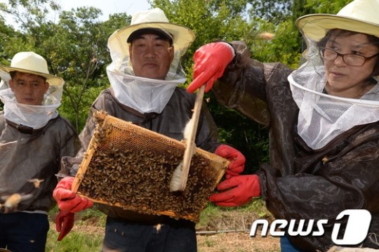 서울에서 채취한 꿀 맛보세요