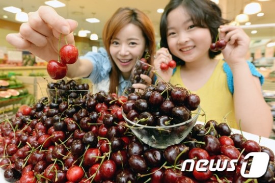 맛있는 워싱턴 빙(BING)체리 사가세요