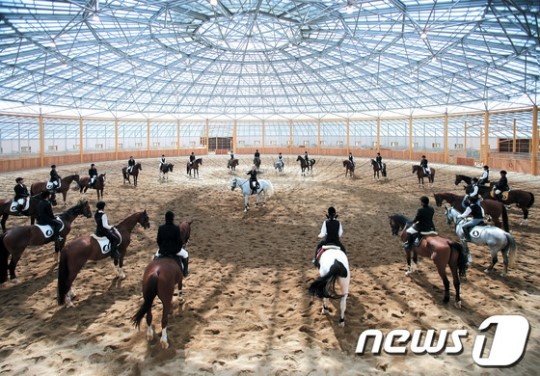 강릉영동대, 도내 최초 승마산업학과 신설