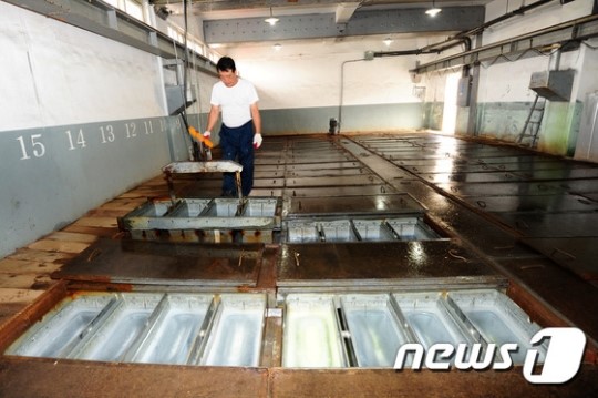 폭염이 즐겁다…포항수협제빙공장 24시