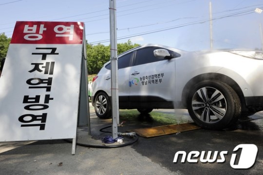 검역본부 차량도 방역소독