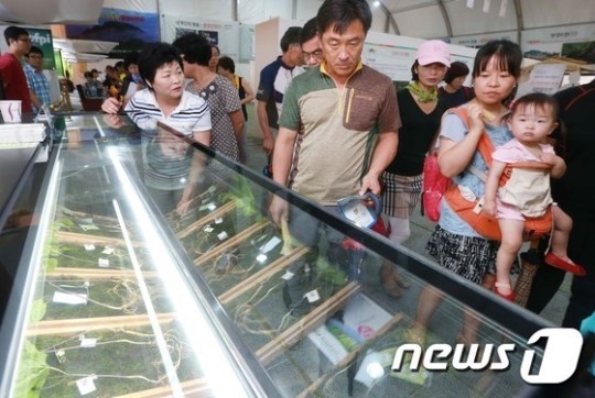 산삼 한 뿌리 먹으면 좋겠네