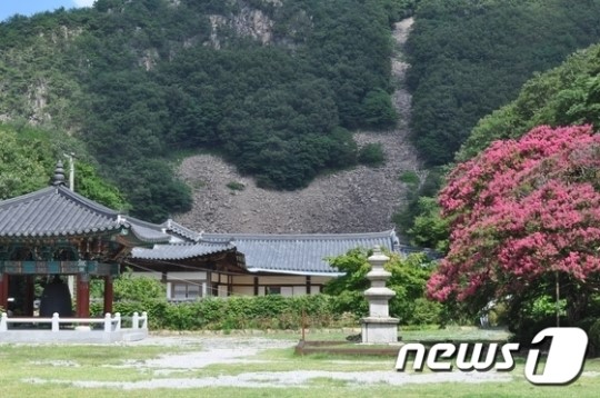 영동군 반야사에는 호랑이가 있다?