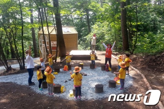 강릉 대관령 금강소나무 숲에 ‘유아숲체험원’ 조성