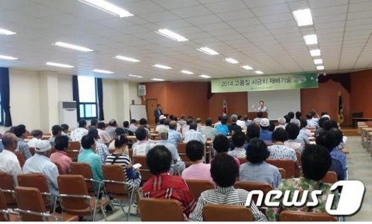 신안군, 전국 최고 명품 시금치 생산 박차