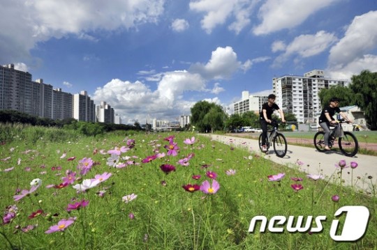 가을하늘 아래 코스모스 따라 신나는 자전거 하이킹