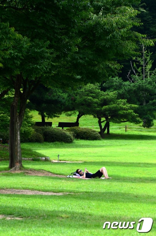 아직은 나무 그늘 밑이 좋아