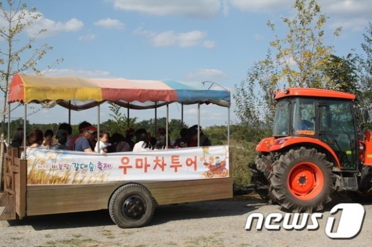 화성시, 제9회 비봉땅 갈대숲 축제 개최