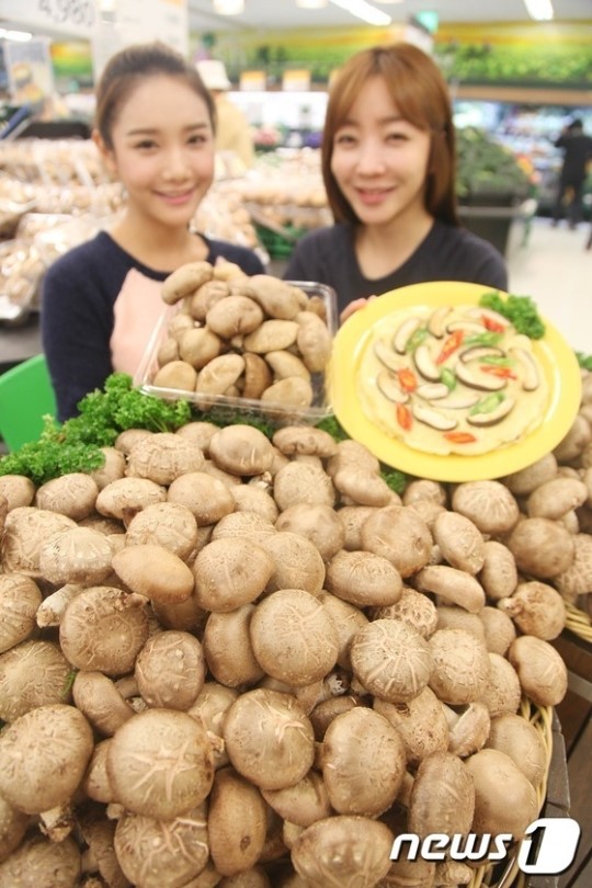 제철 맞은 햇 표고버섯 맛보세요