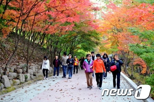 순창군 강천산 단풍 보러오세요…이번주말부터 절정