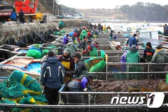 해남군, 전남도 수산경영평가 우수상 수상