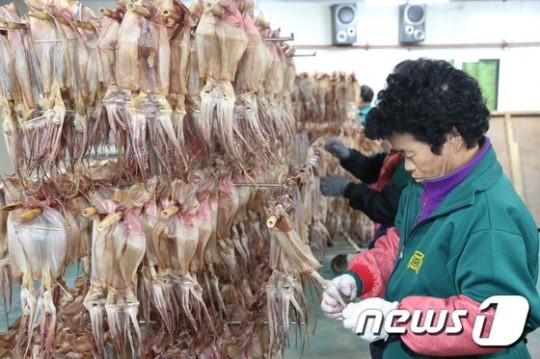 내륙도시 영동 산골오징어 세계인 입맛 사로잡네!