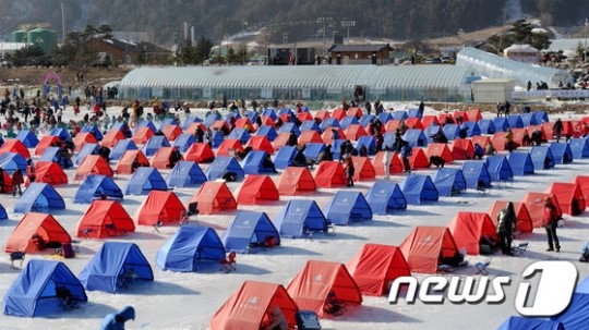 주말 성황인 평창송어축제