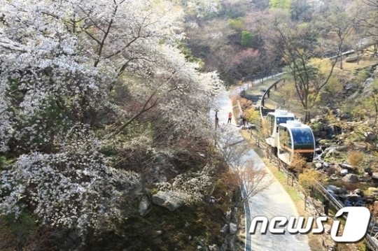 생태수목원 곤지암 화담숲 21일 개장…50% 할인