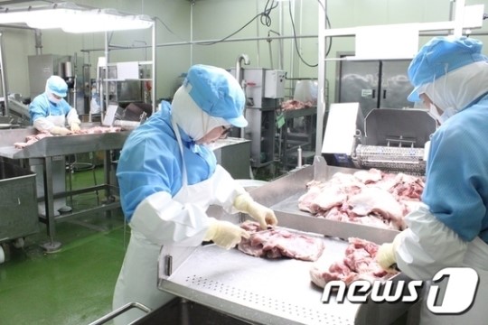 [르포]질 낮은 고기사용 NO!…햄가공공장 직접 가보니