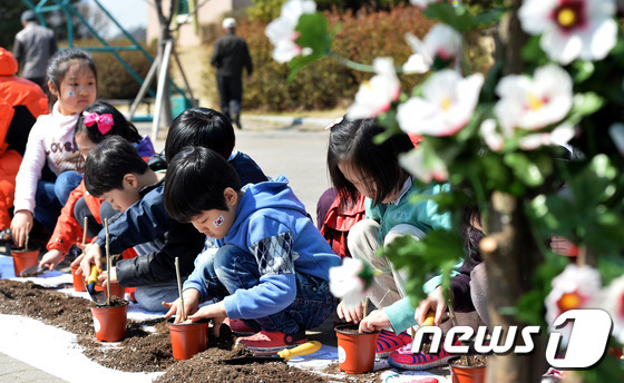 정성스레 무궁화 묘목 심어요
