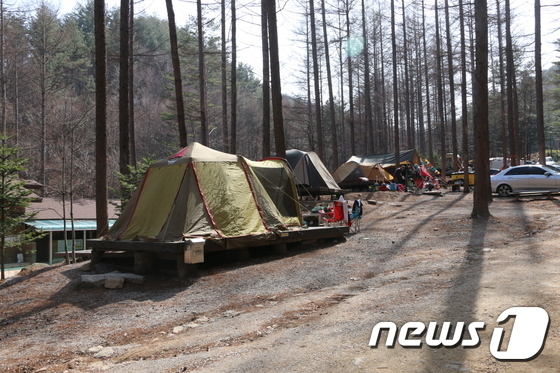 산림청 청옥산자연휴양림은 7성급 캠핑장… 적극 추천