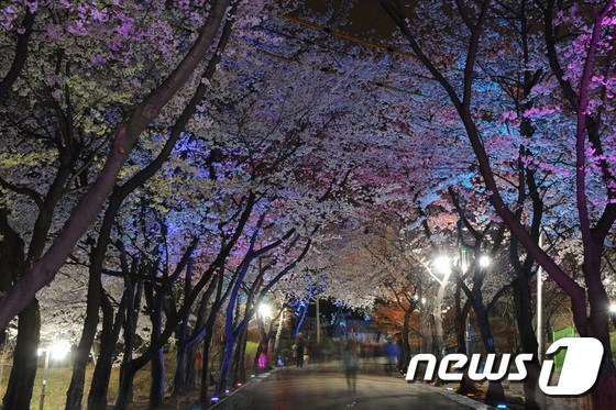 진달래·벚꽃 보러 부천에 오세요…11~12일 원미·도당산서 축제