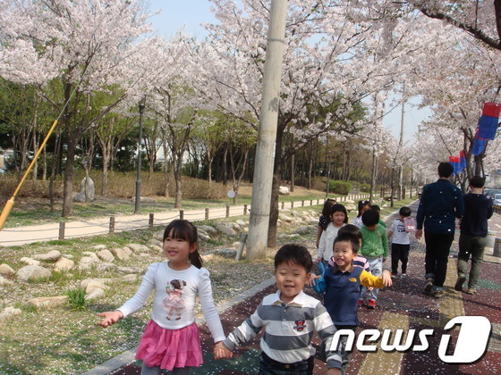 강남구 이번 주말 대청골 왕벚꽃 축제 놀러 오세요