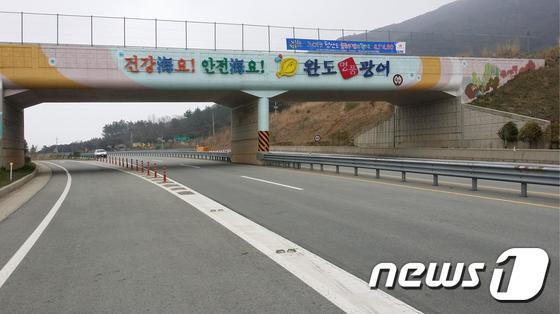 완도군 장보고수산물 축제도 보고, 명품 광어도 먹고