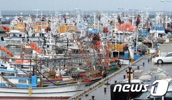 5월에 태풍이라니...한림항에 피항한 선박들