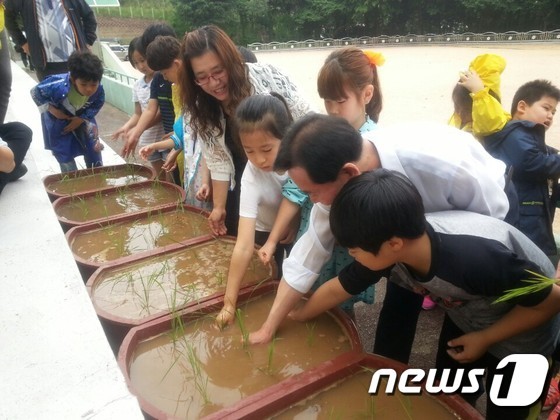 해남군, 부산지역 학교에 친환경 벼 체험포 설치
