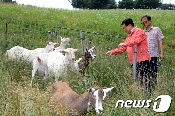산양에게 먹이 주는 이동필 장관