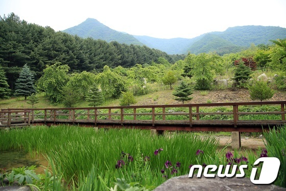 7월엔 식물원으로 떠나 야생화를 만나 보자
