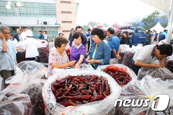 직거래·고품질 진안고원 고추…한방약초센터서 고추시장 개장