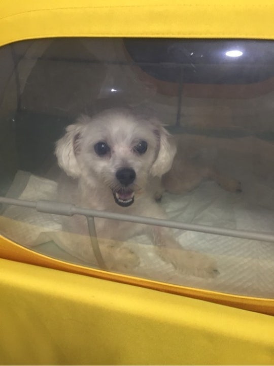 1510403_article_99_20150820203703.jpg?ty