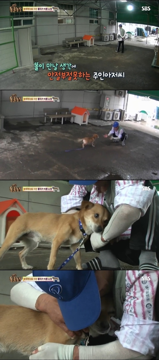 동물농장 똘이, 주인 아저씨와 드디어 재회 감동의 순간