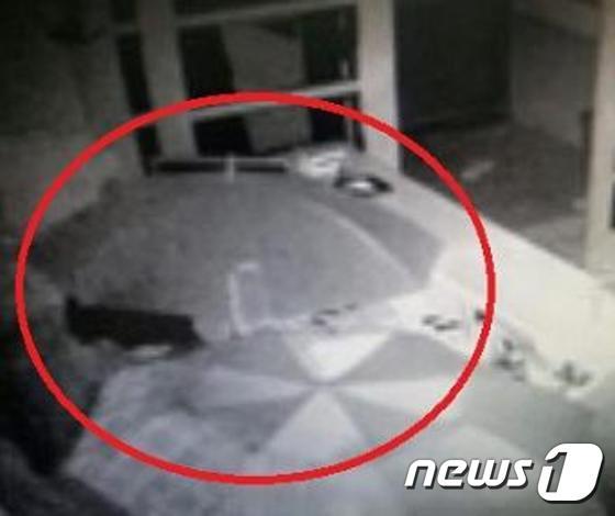 우산으로 CCTV 가리고 상가턴  일당 검거