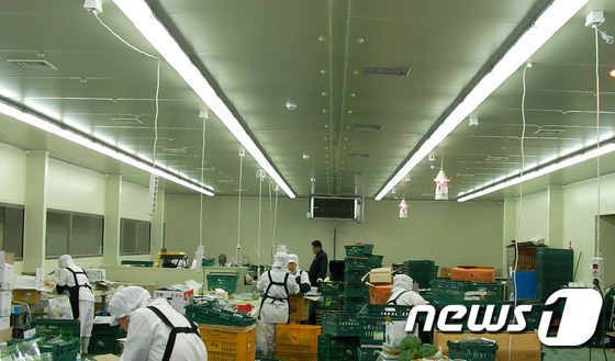 [미래형 농가를 찾아서-경기]친환경농업계가 손꼽는 귀농모델