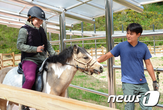 홍천 숲속 동키마을서 당나귀 타요