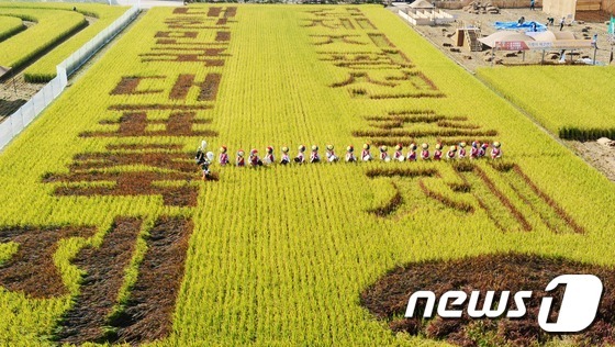 대한민국 대표픅제 김제지평선 축제