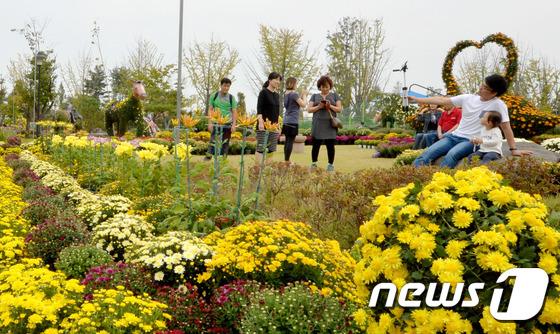 국화축제 앞둔 대전 유림공원