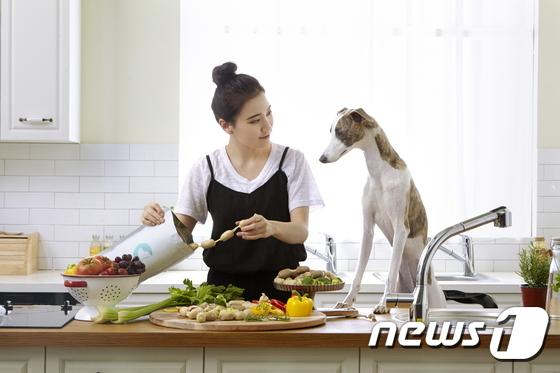 나샘, 반려동물을 위한 건강식 브랜드 베소 론칭