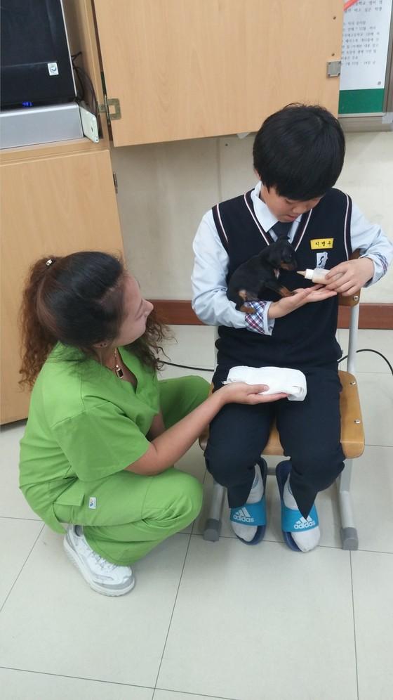 동물보호단체 유기견 새 삶, 동물과의 교감 수업 진행