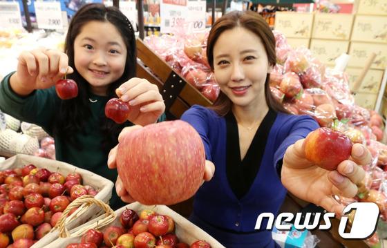 롯데마트 한입에 쏙, 미니사과 드세요