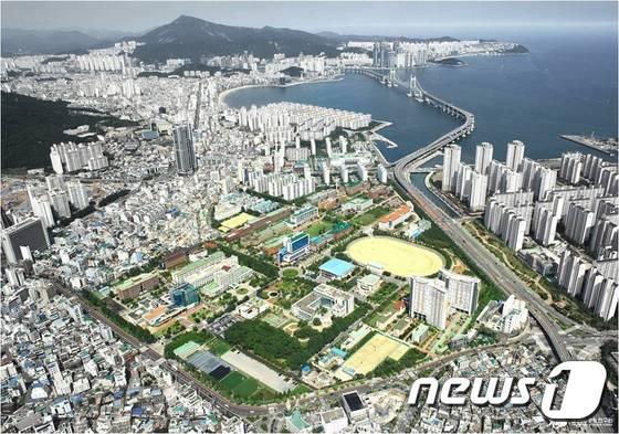 세계수산대학 부산 선정은 부경대와 수산 인프라가 큰 몫