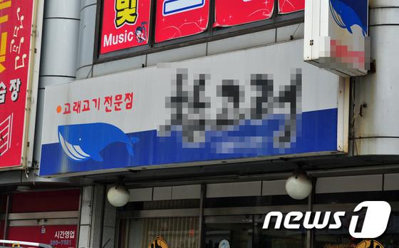 3개월만에 5억을 벌다…‘바다의 로또’가 된 고래의 슬픈 사연