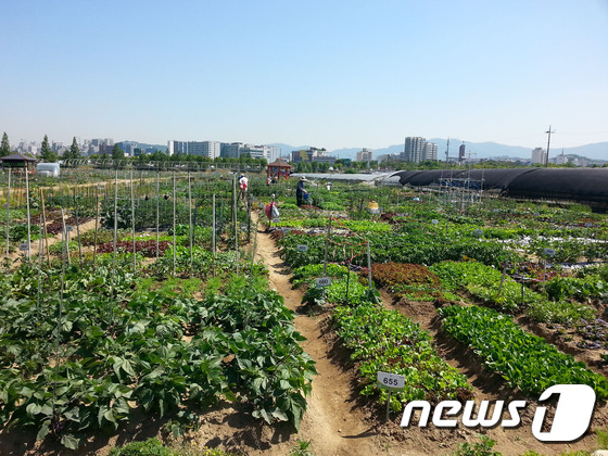 성남시민농원 9일 개장…“나도 도시 농부”
