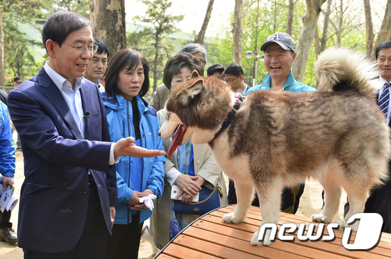 반려견에게 손 내미는 박원순 시장