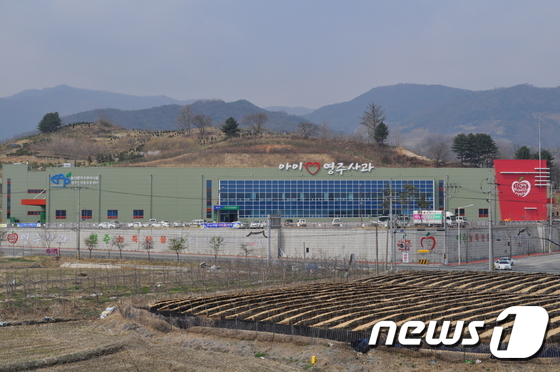 영주농산물유통센터, 사과부문 경영평가 1위