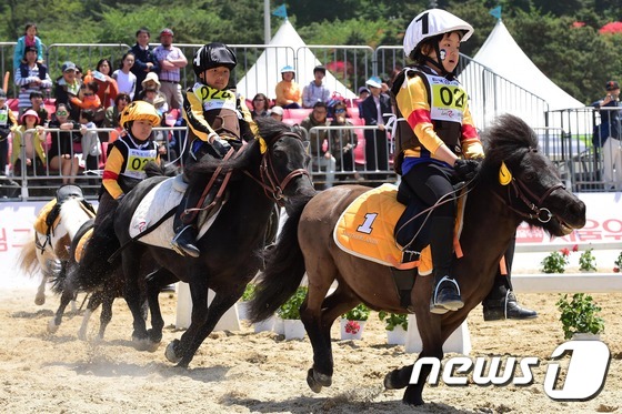 춘천 송암스포츠타운 승마장,가족체험 생활레저시설 조성