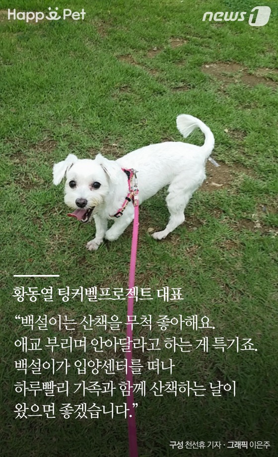 [펫카드] 세탁소를 찾아온 유기견 백설이의 사연