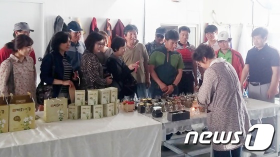 괴산군 농촌 융·복합산업 체험농장 인기
